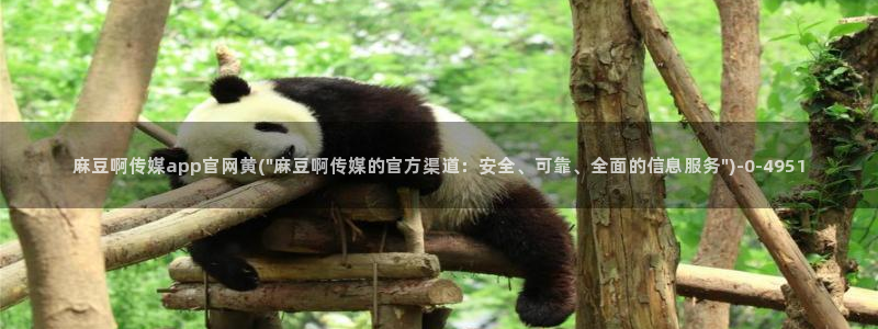 麻豆 合集更新：麻豆啊传媒app官网黄(\