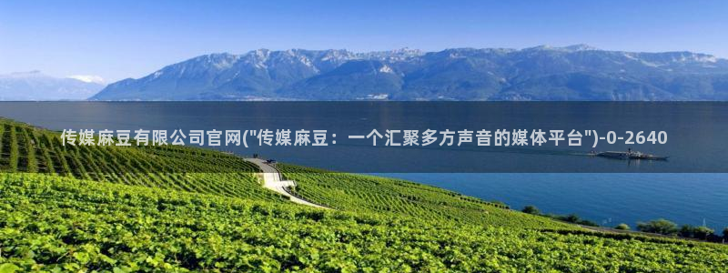 麻豆视频 短片更新：传媒麻豆有限公司官网(\