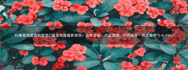 麻豆视频图集高清：91麻豆传媒官网首页(\