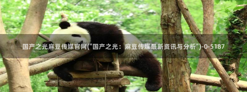 麻豆视频 入口最新：国产之光麻豆传媒官网(\
