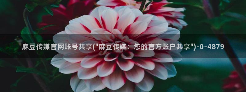 麻豆视频专区最新：麻豆传媒官网账号共享(\