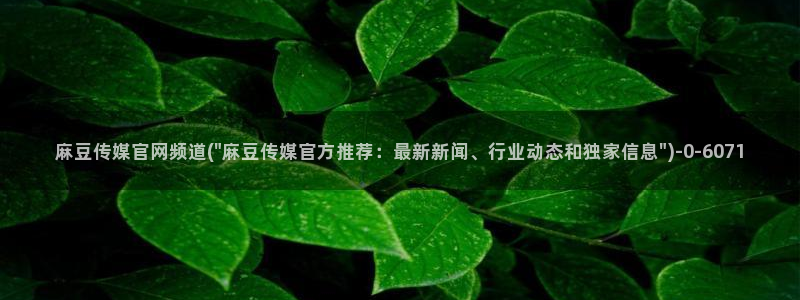 麻豆 资源整理：麻豆传媒官网频道(\