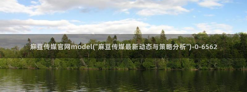 麻豆入口导航：麻豆传媒官网model(\