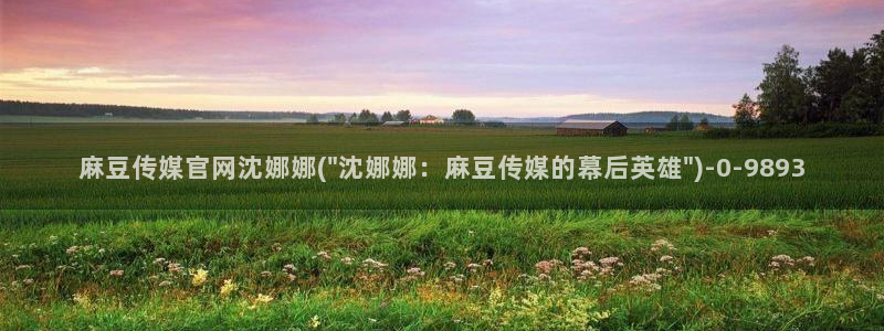 麻豆视频合集推荐：麻豆传媒官网沈娜娜(\