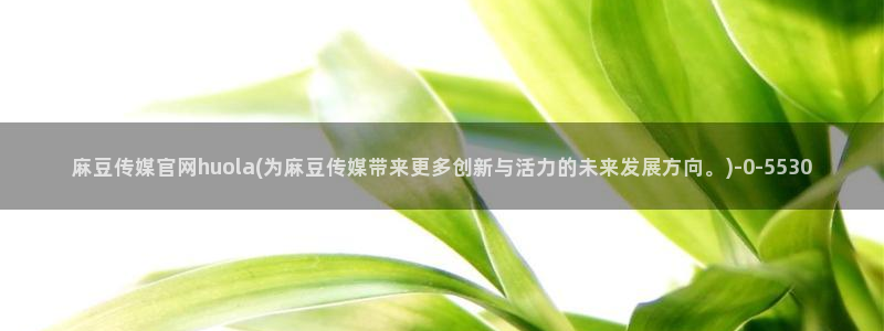 麻豆入口专区：麻豆传媒官网huola(为麻豆传媒