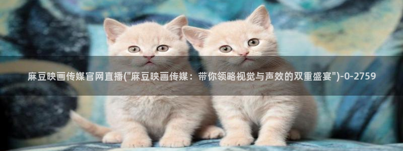 麻豆视频 入口：麻豆映画传媒官网直播(\