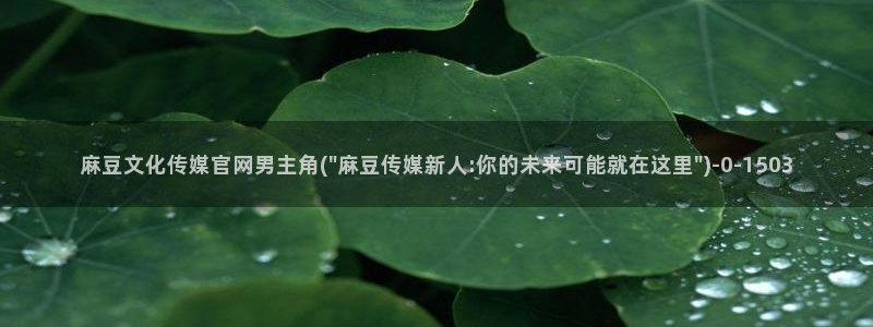 麻豆视频短片整理：麻豆文化传媒官网男主角(\
