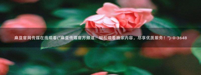 麻豆入口下载：麻豆官网传媒在线观看(\