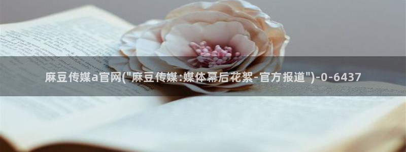 麻豆视频官方完整版：麻豆传媒a官网(\