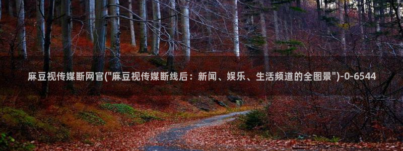 麻豆精选入口：麻豆视传媒断网官(\