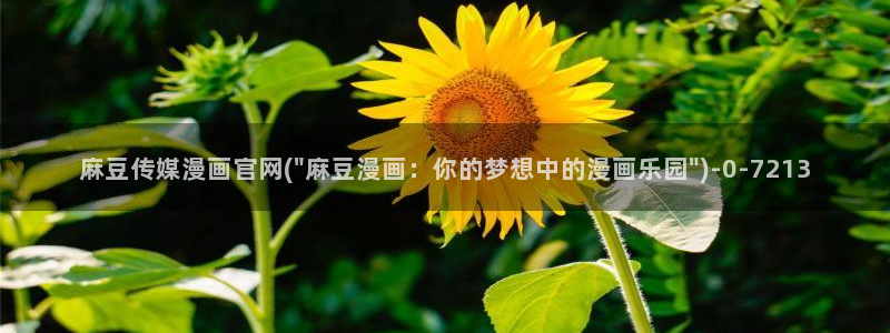 麻豆合集专区：麻豆传媒漫画官网(\