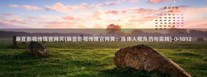麻豆视频最新在线看：麻豆影视传媒官网黄(麻豆影视传媒官网黄：媒体人视角的与实践)