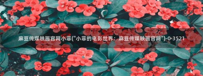 麻豆视频 热门完整版：麻豆传媒映画官网小菲(\