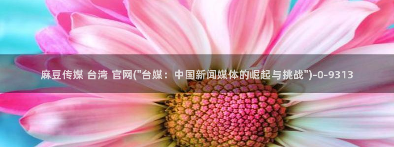 麻豆视频内容高清：麻豆传媒 台湾 官网(\