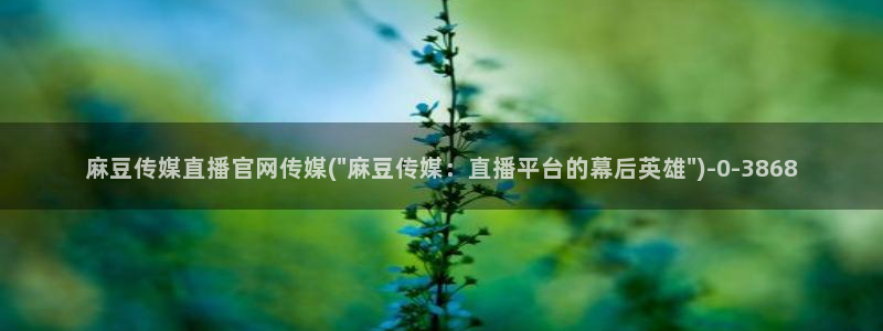 麻豆视频内容更新：麻豆传媒直播官网传媒(\