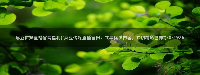麻豆视频 入口在线看：麻豆传媒直播官网福利(\
