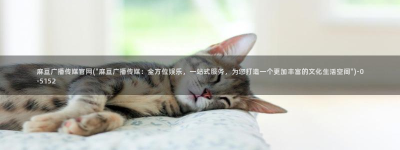 麻豆视频资源整理：麻豆广播传媒官网(\