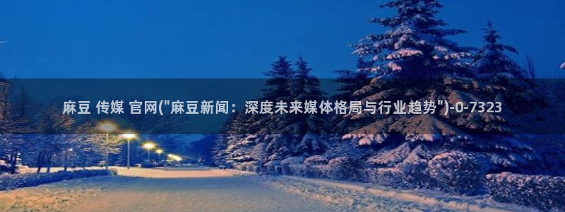 麻豆视频 推荐完整版：麻豆 传媒 官网(\